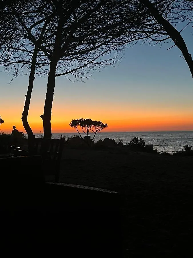 L'Oleandro 1407 House In Sardinia With Mediterranean Sea Views Isola Rossa  Σπίτι διακοπών
